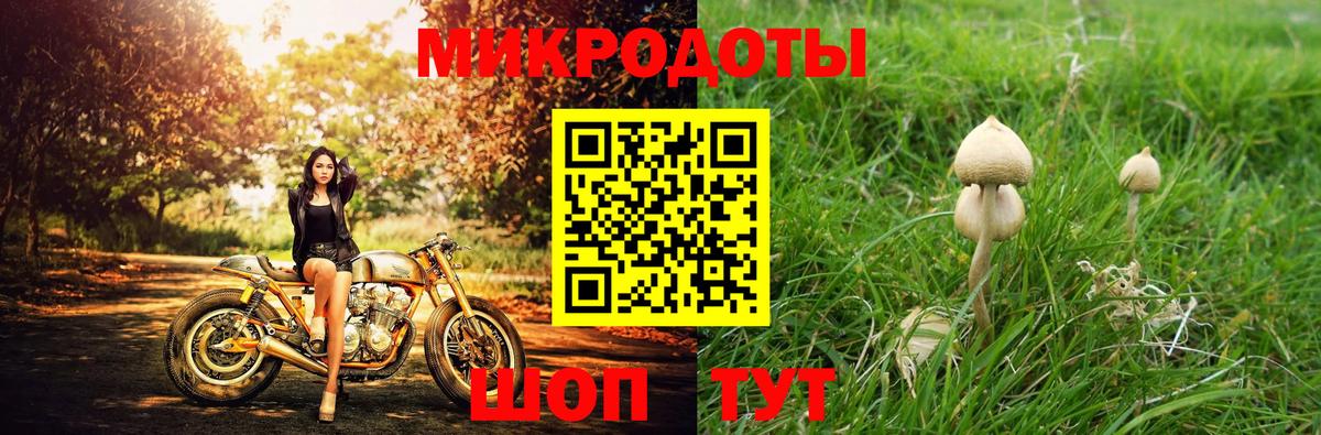 Сатка  Галлюциногенные грибы MAGIC MUSHROOMS  Вход с VPN 