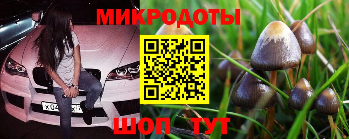 Псилоцибиновые грибы мухоморы Сатка